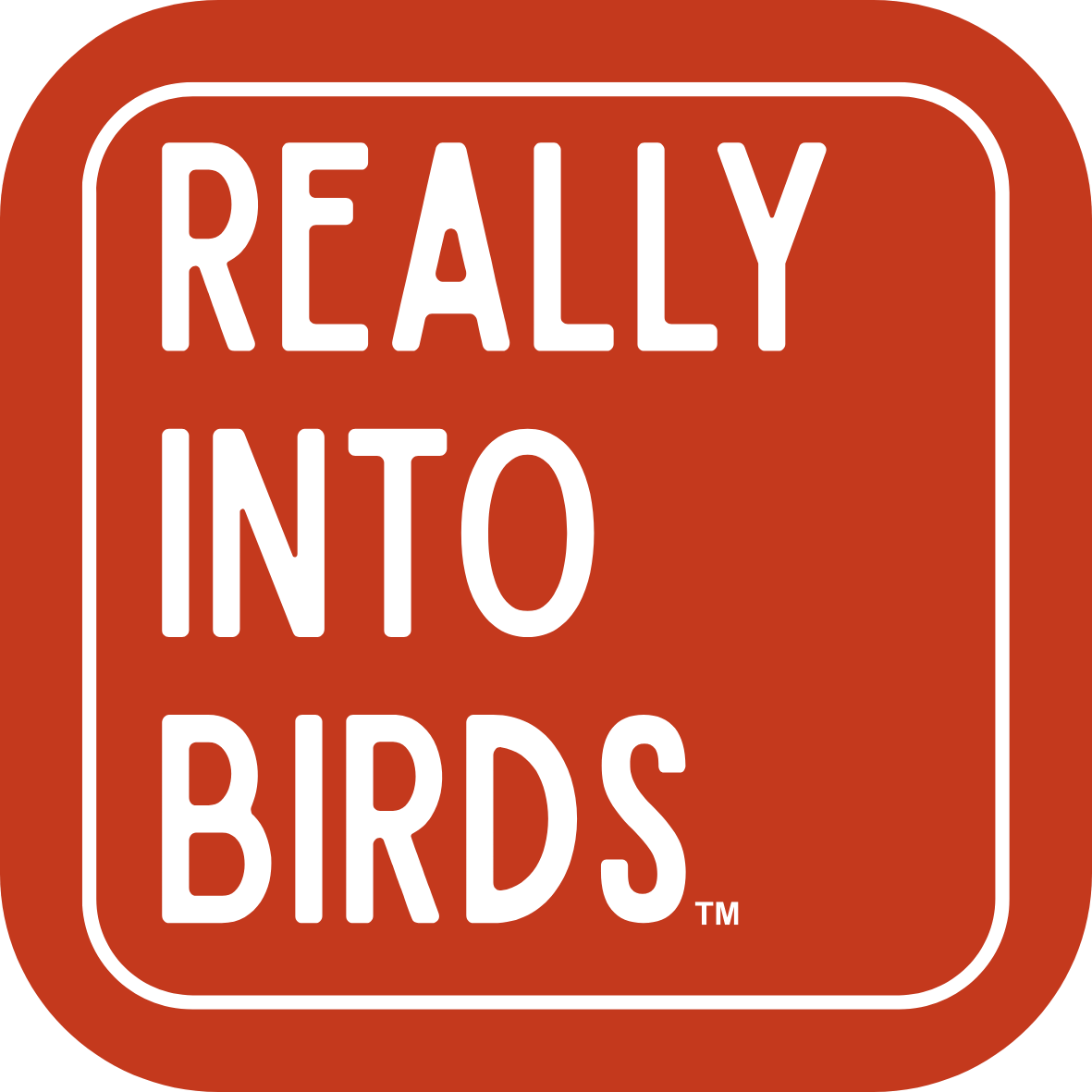 Really Into Birds - Sticker