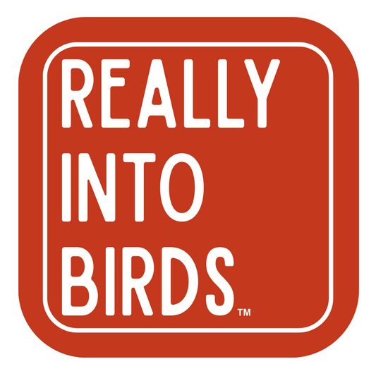 Really Into Birds - Sticker