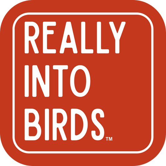 Really Into Birds - Sticker